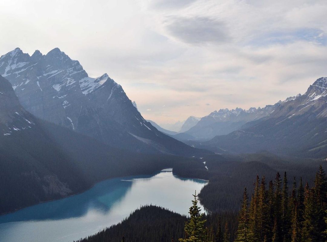 Frequently Asked Questions (FAQs)