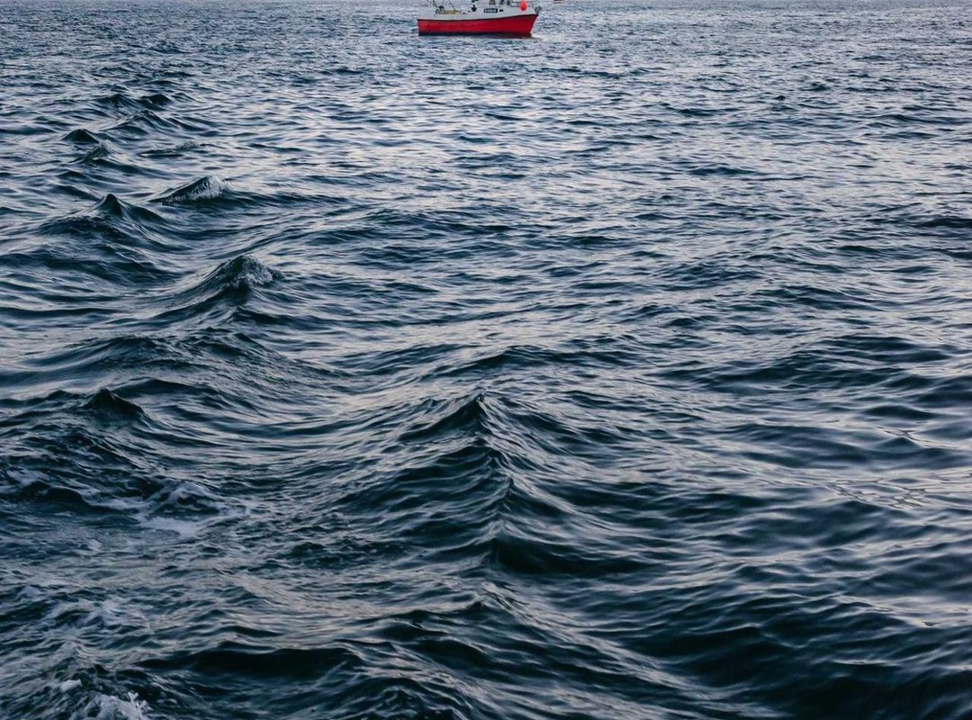 Navigating the Spotlight: Public Persona and Privacy