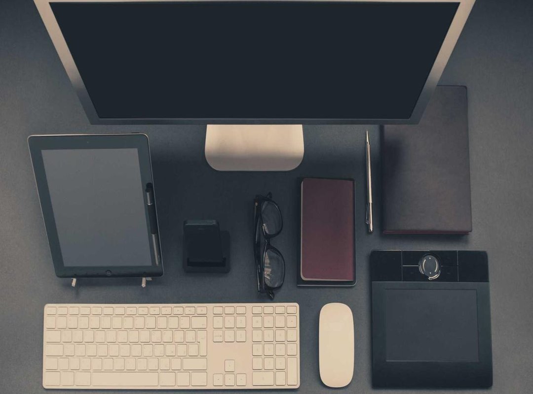 Visual Guide: Common Types of Leeches You Might Encounter