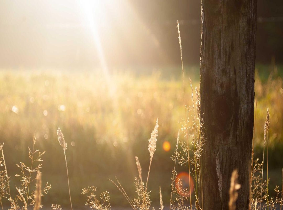 More Designs: Stitch with Hearts and Lilo