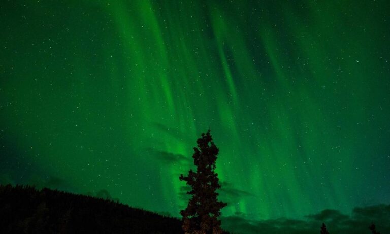 tech news elmagadvance