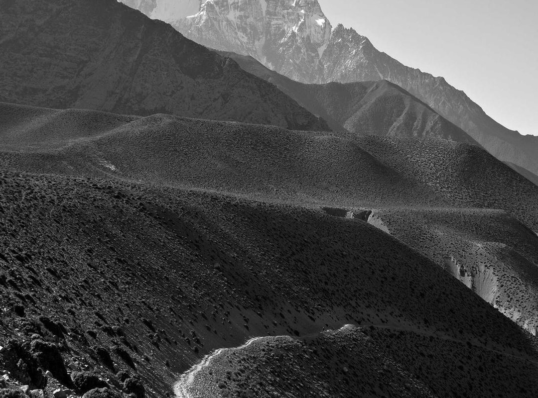 Healing Your Abdomen Tattoo: A Step-by-Step Guide