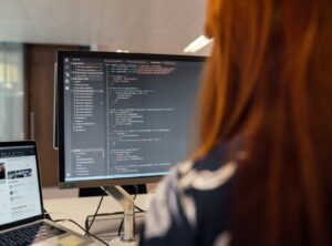 What Does a Software Engineer Do Dtrgstech